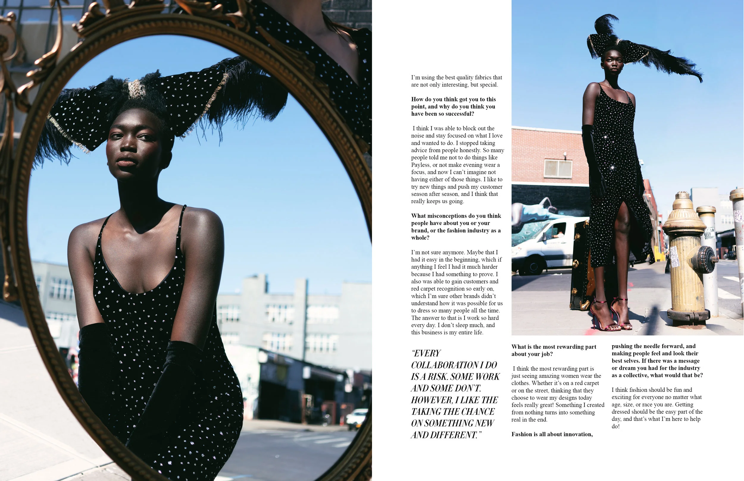 Risk VI - Cover  2 - Siriano Effect13.jpg