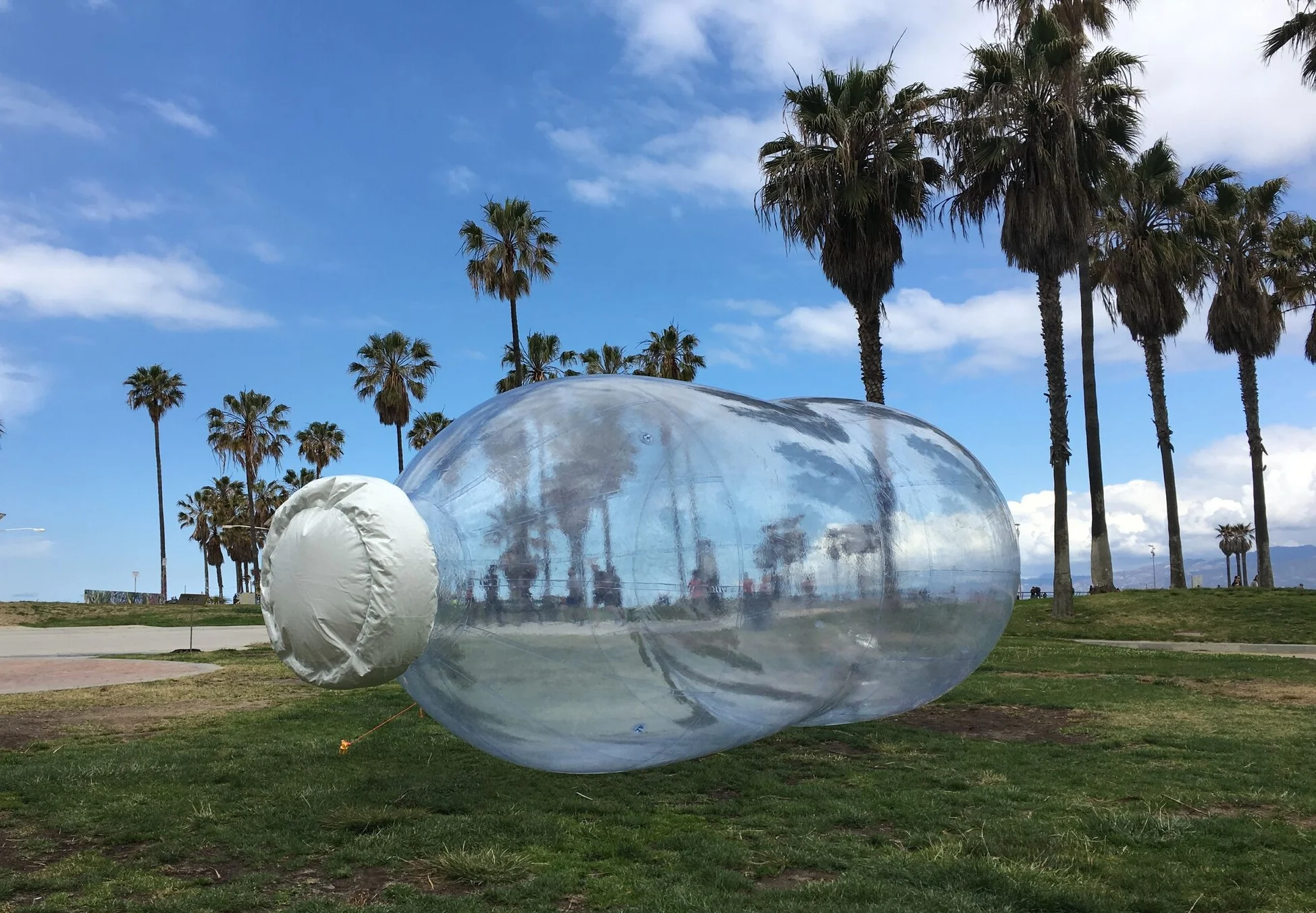 Cruder_Lapenta_Natural+Plasticity_VeniceBeach_1212_preview.jpg