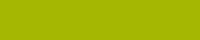neon-green-rv-125.jpg