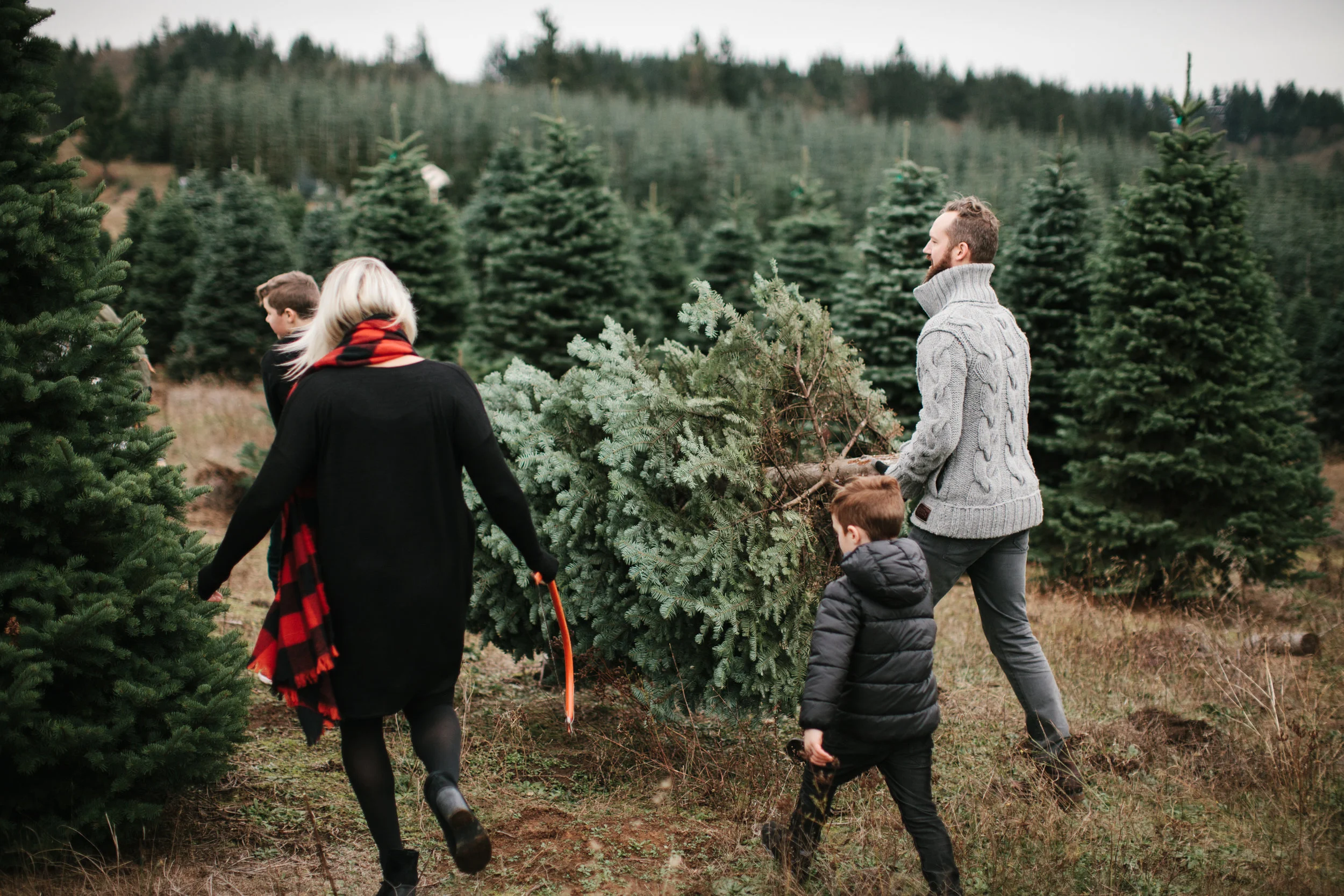 family carrying christmas tree