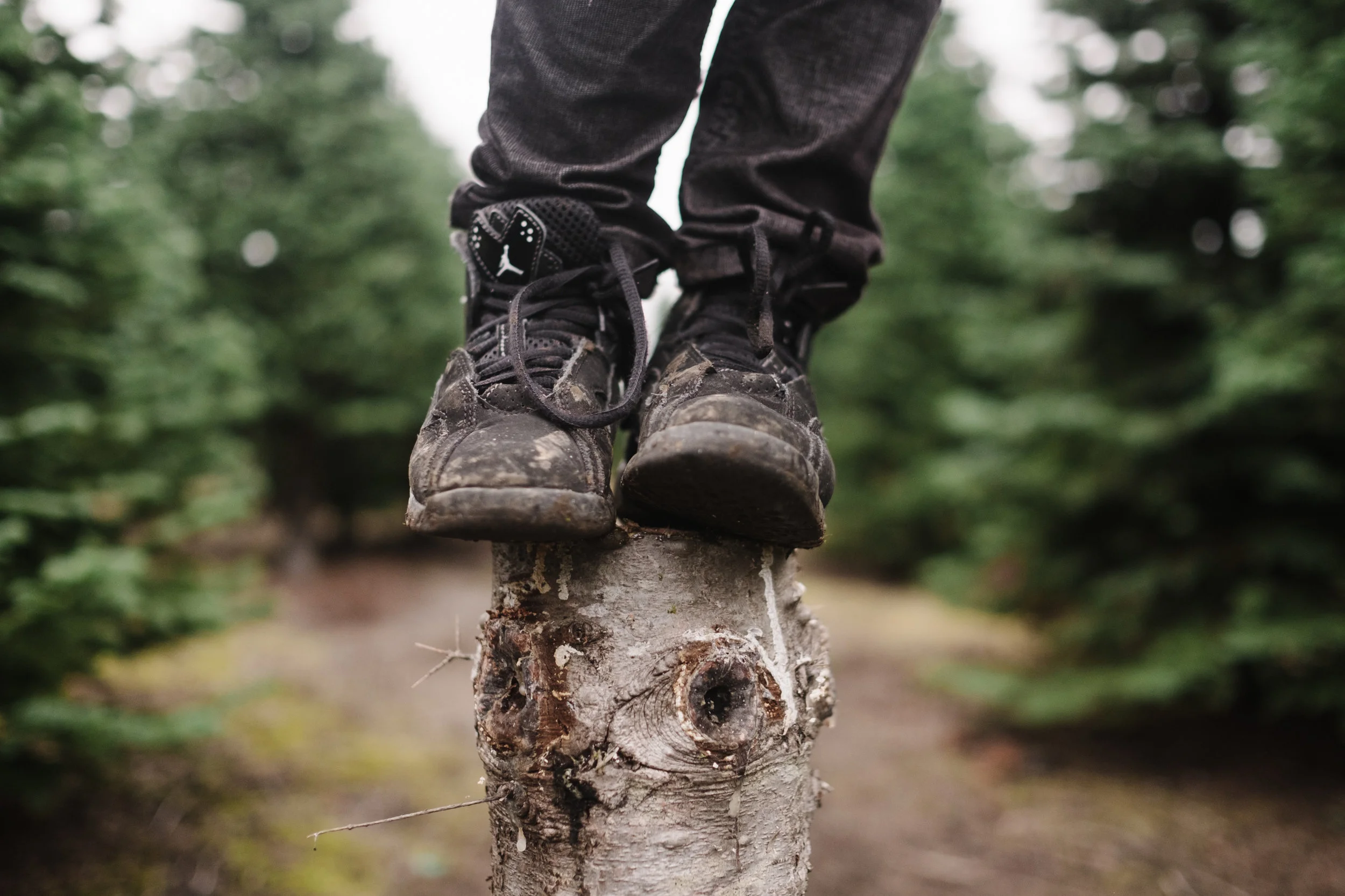 boys shoes on tree stump