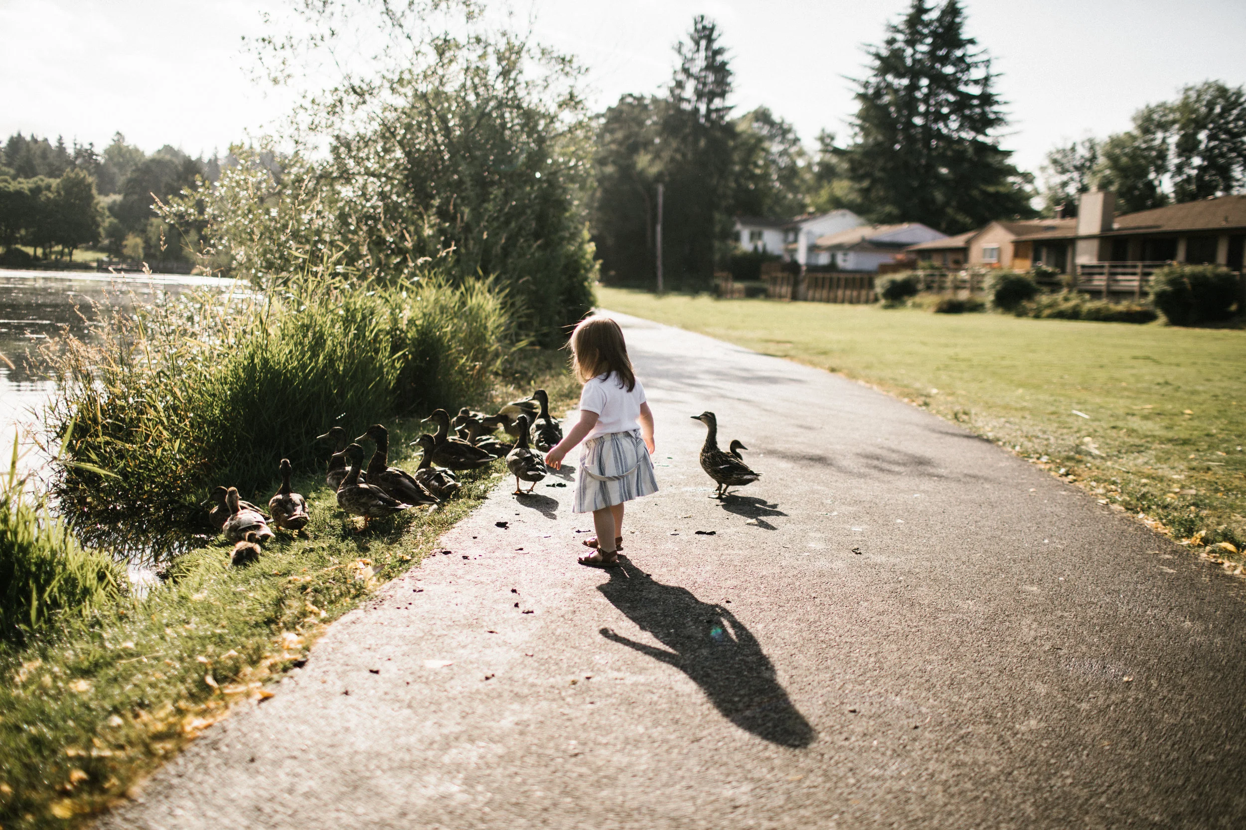 Toddler playing with ducks