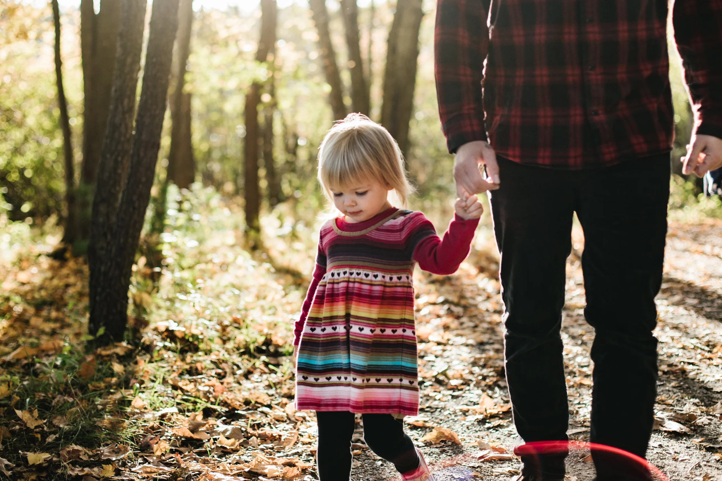 Daughter holding fathers hand in woods
