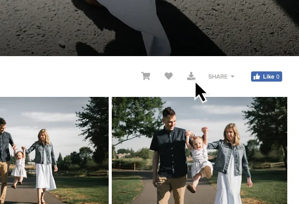 Screen Shot 2018-07-29 at 12.16.45 PM copy.jpg