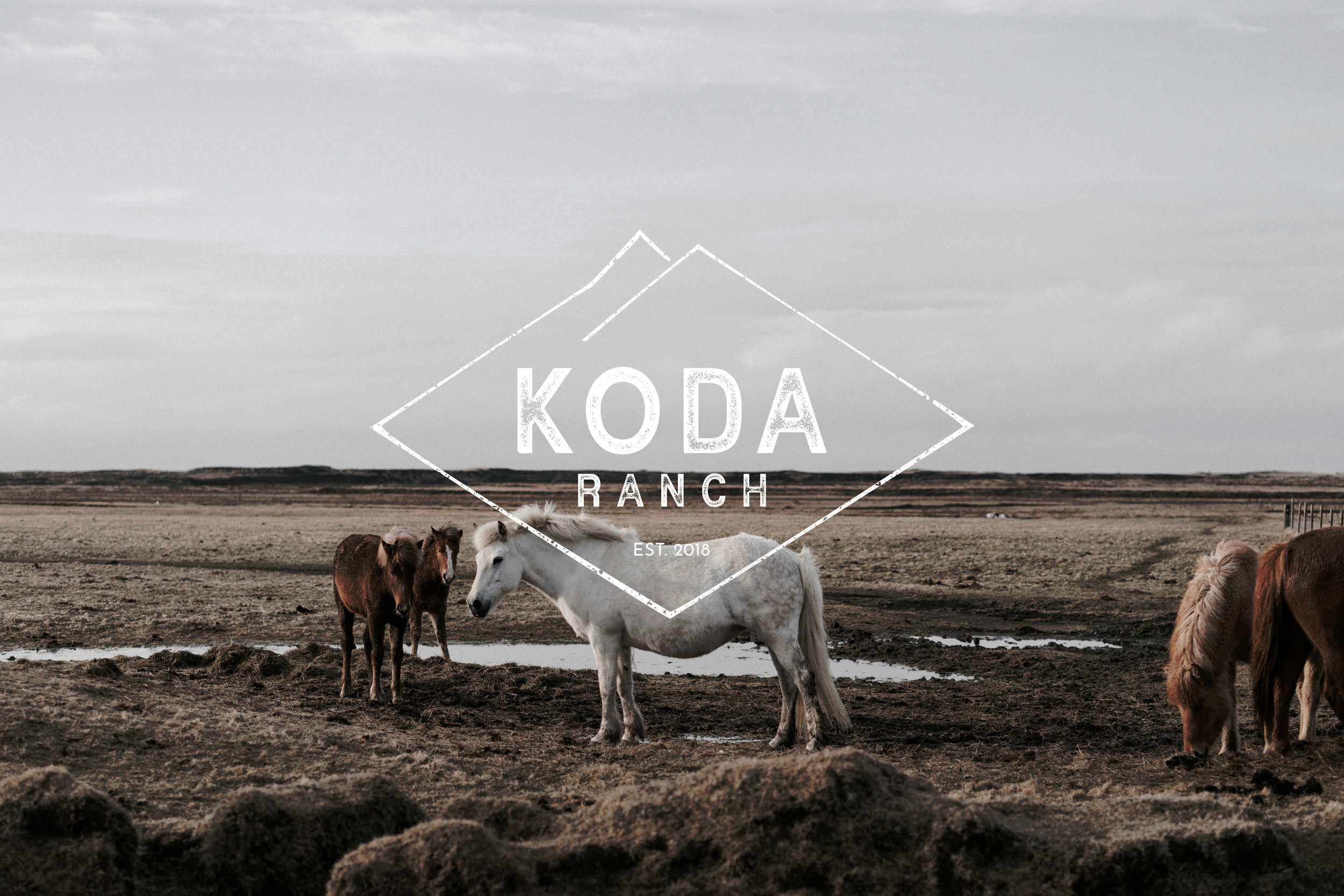 koda-web.jpg