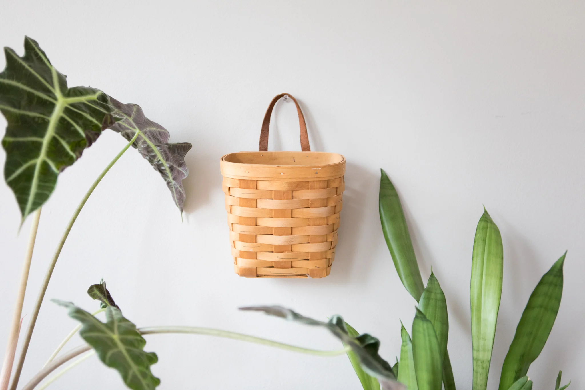 hanging-basket-1.jpg