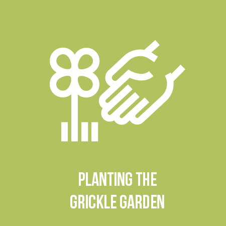 Garden.jpg