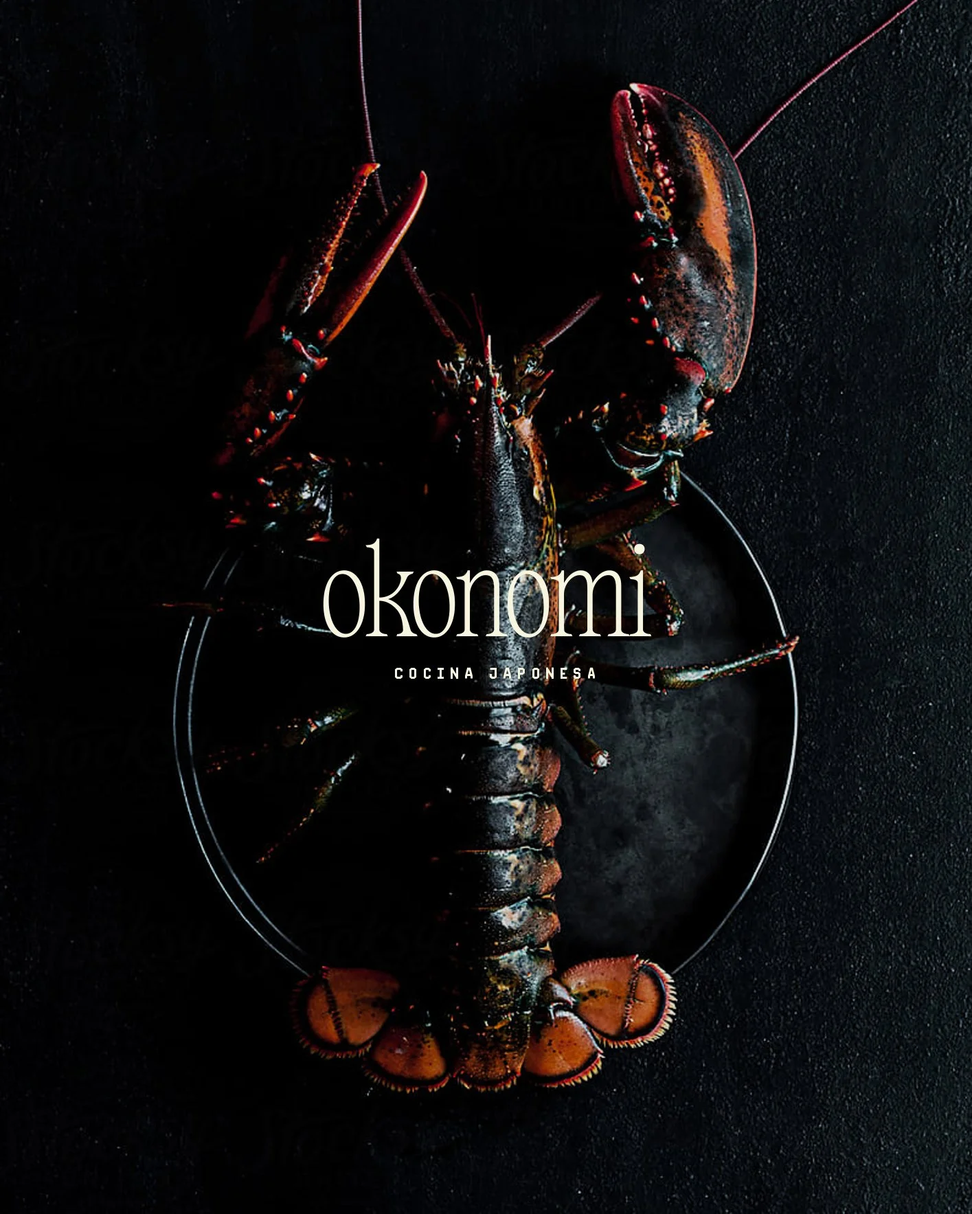 Okonomi_Logo-2.jpg