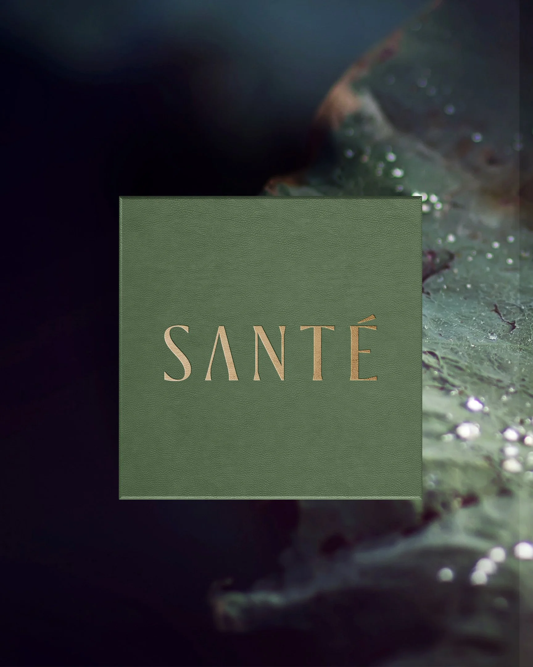 ID-SANTÉ-14-2.jpg