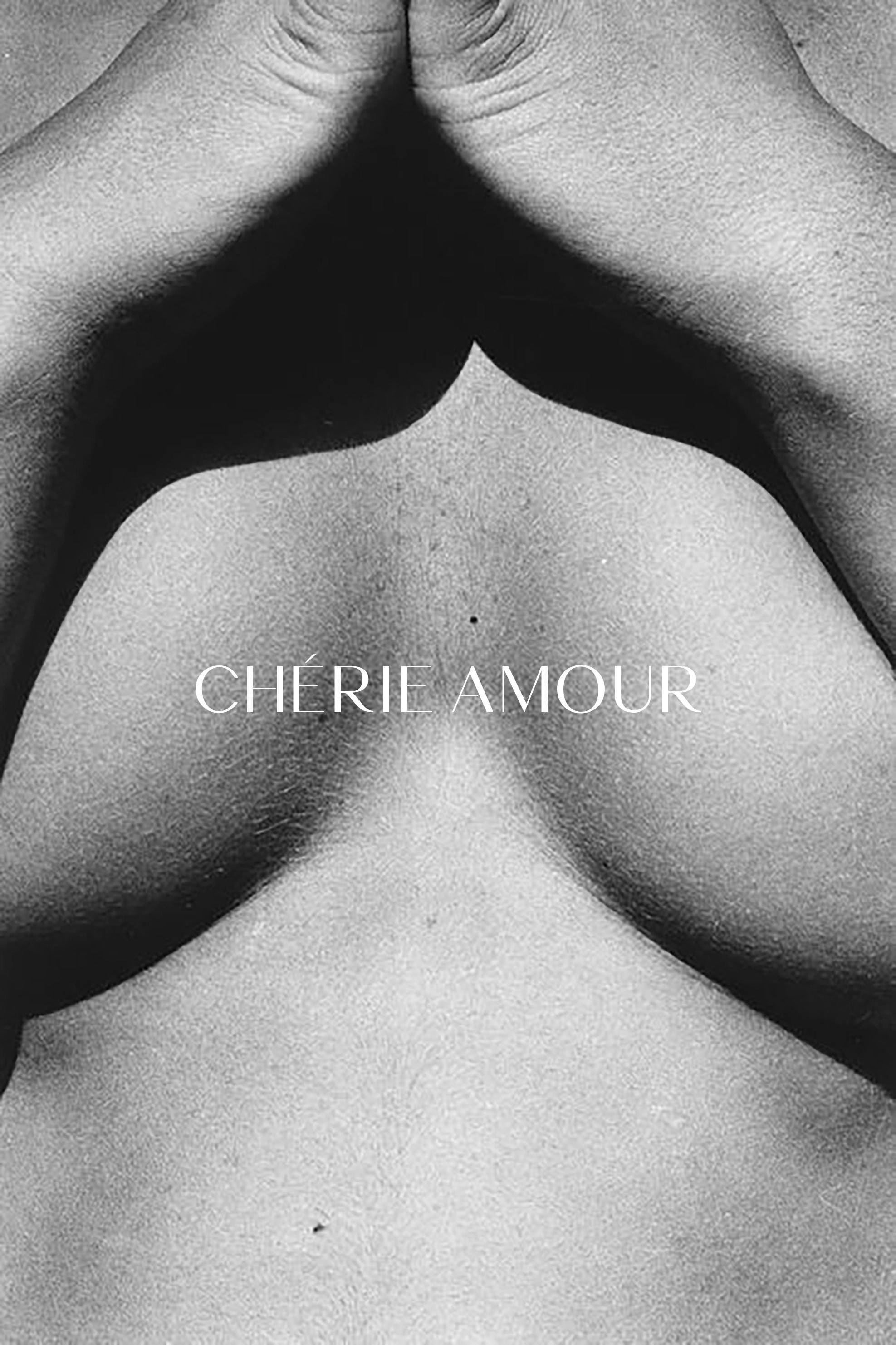 cherie amour logo 2.jpg