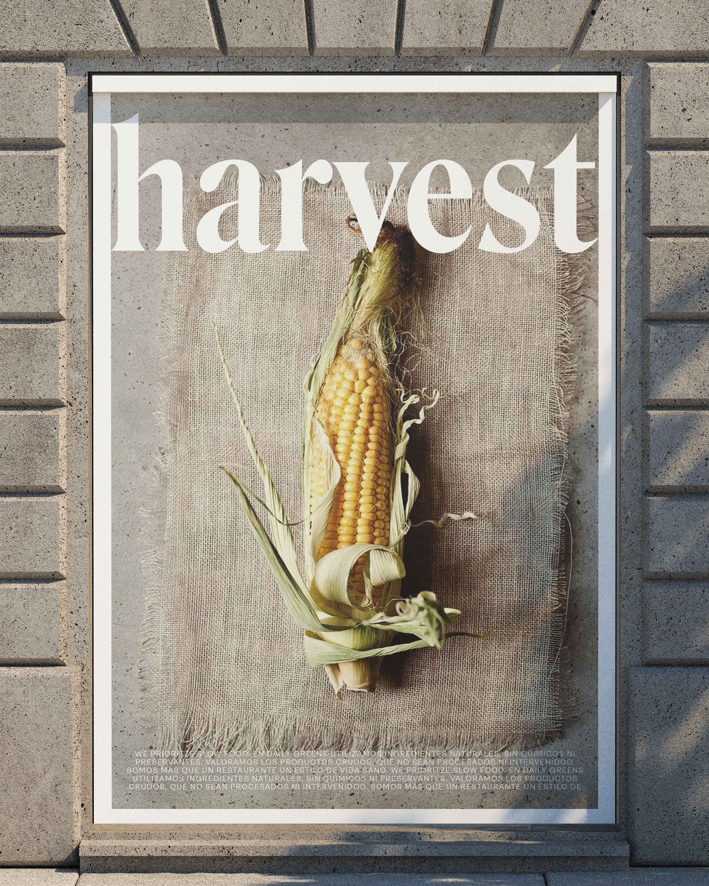 Harvest_flyer 2.jpg