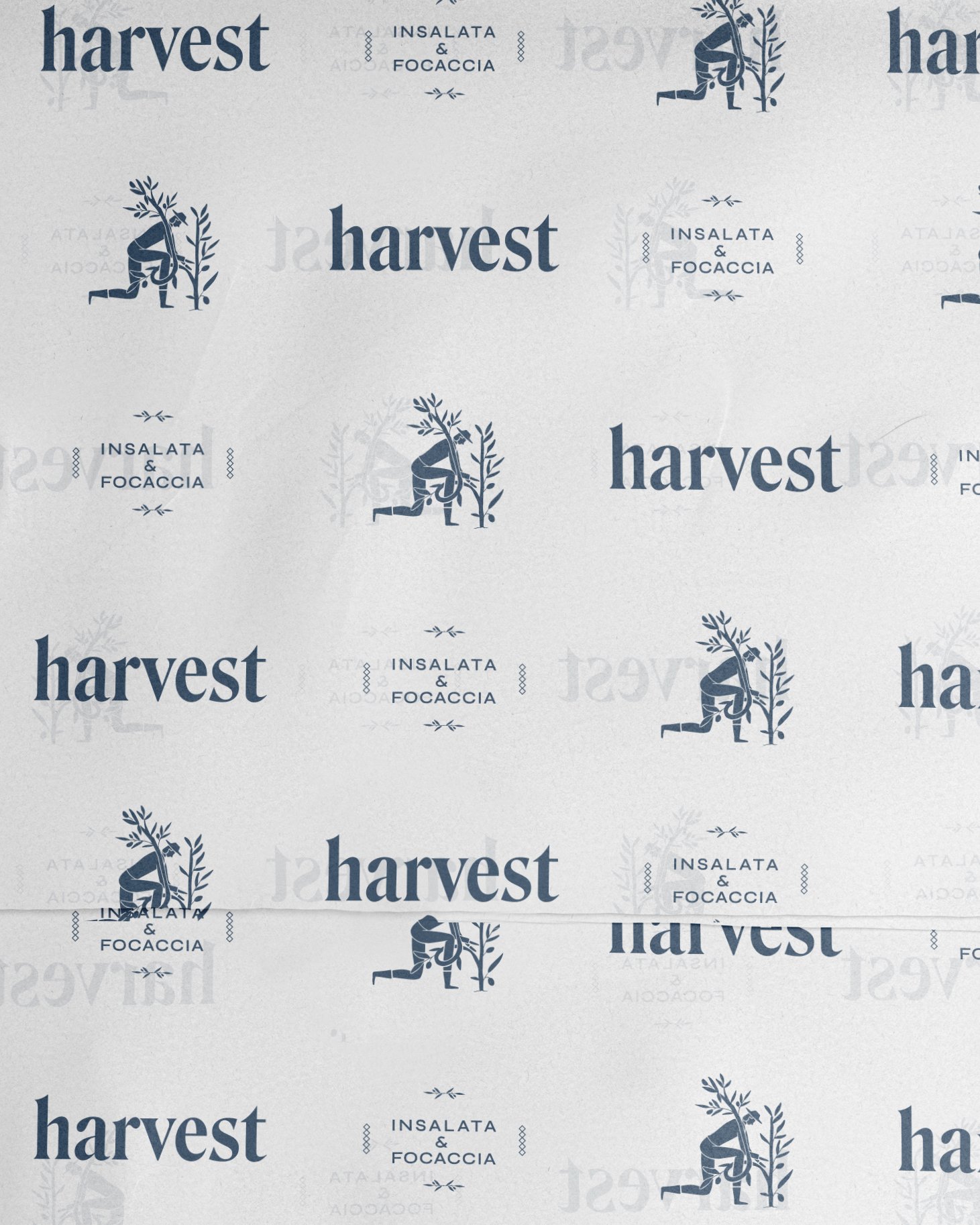 Harvest_Papel 2.jpg
