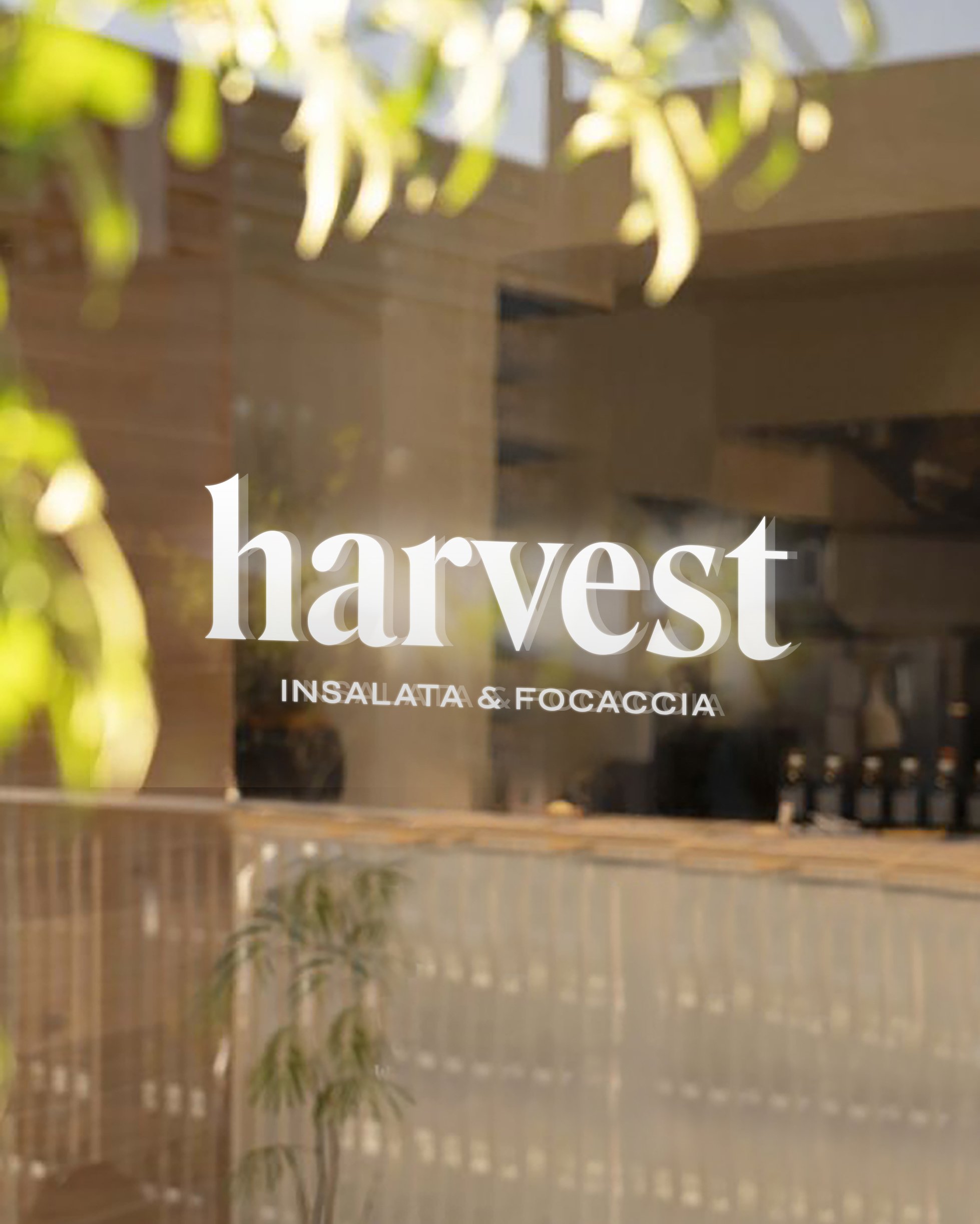 Harvest_vidrio.jpg