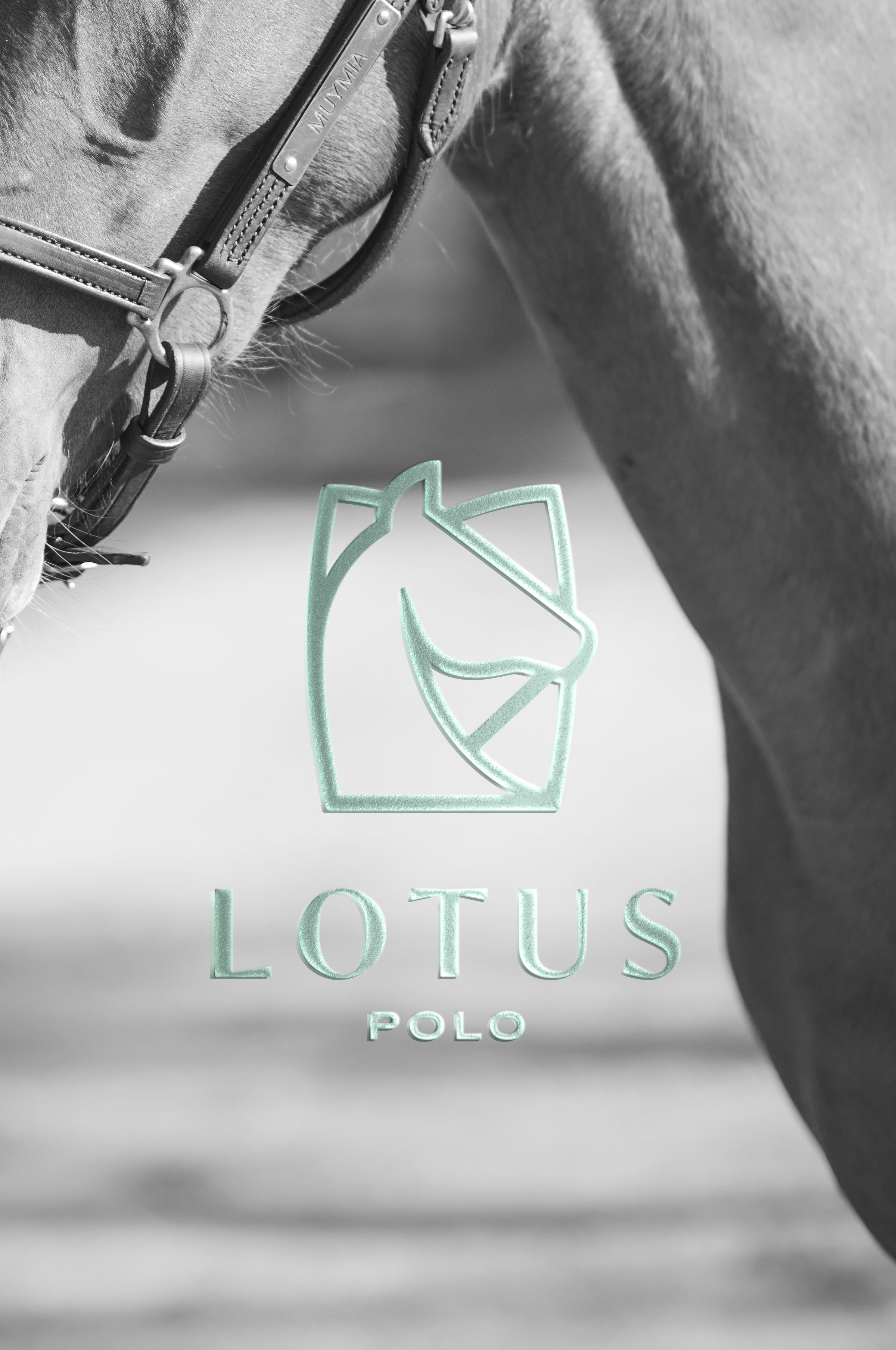 Lotus-Polo_pag-web-arcal.jpg