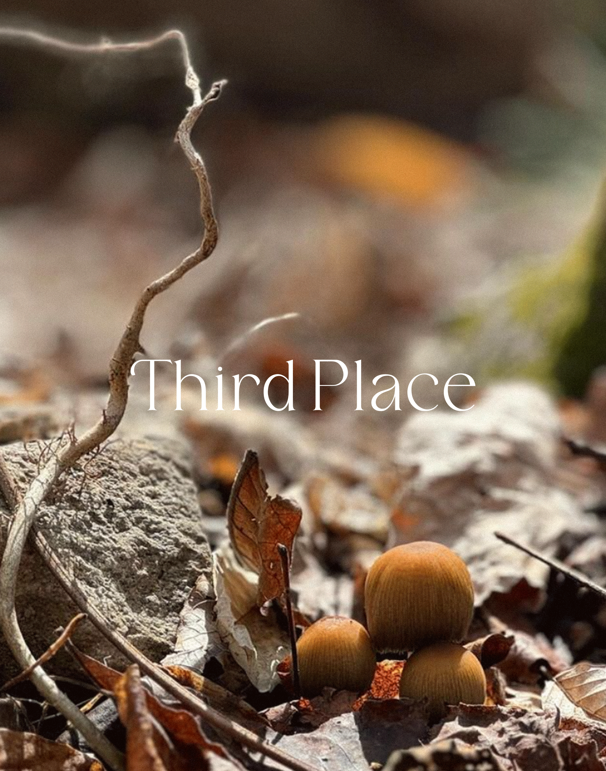 Third-Place-logo3-2-2.png