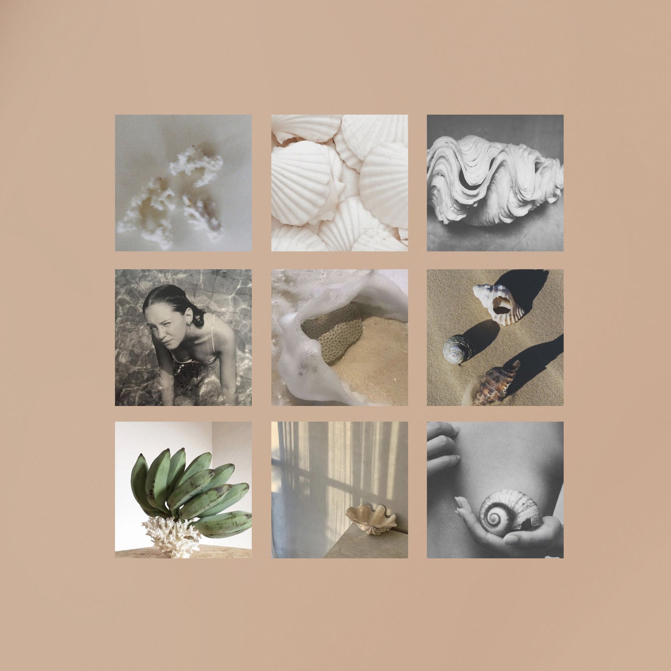 Mio-Coral_moodboard.jpg