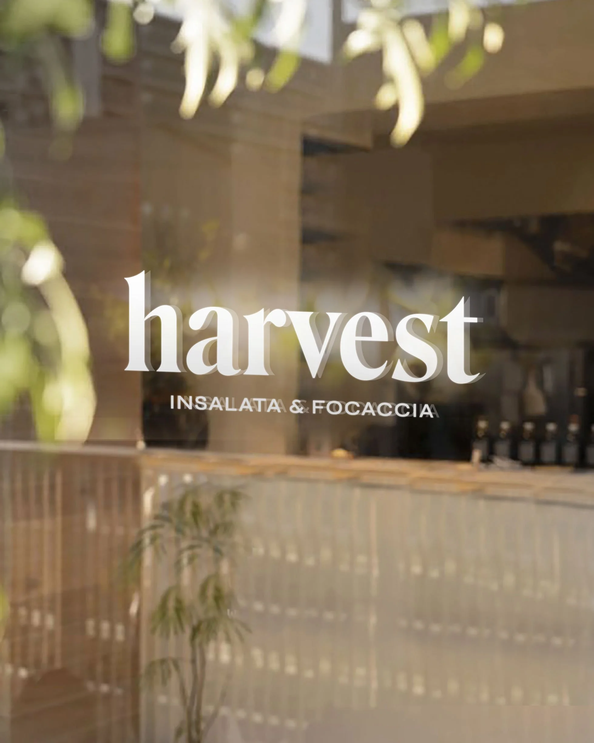 Harvest_vidrio.jpg