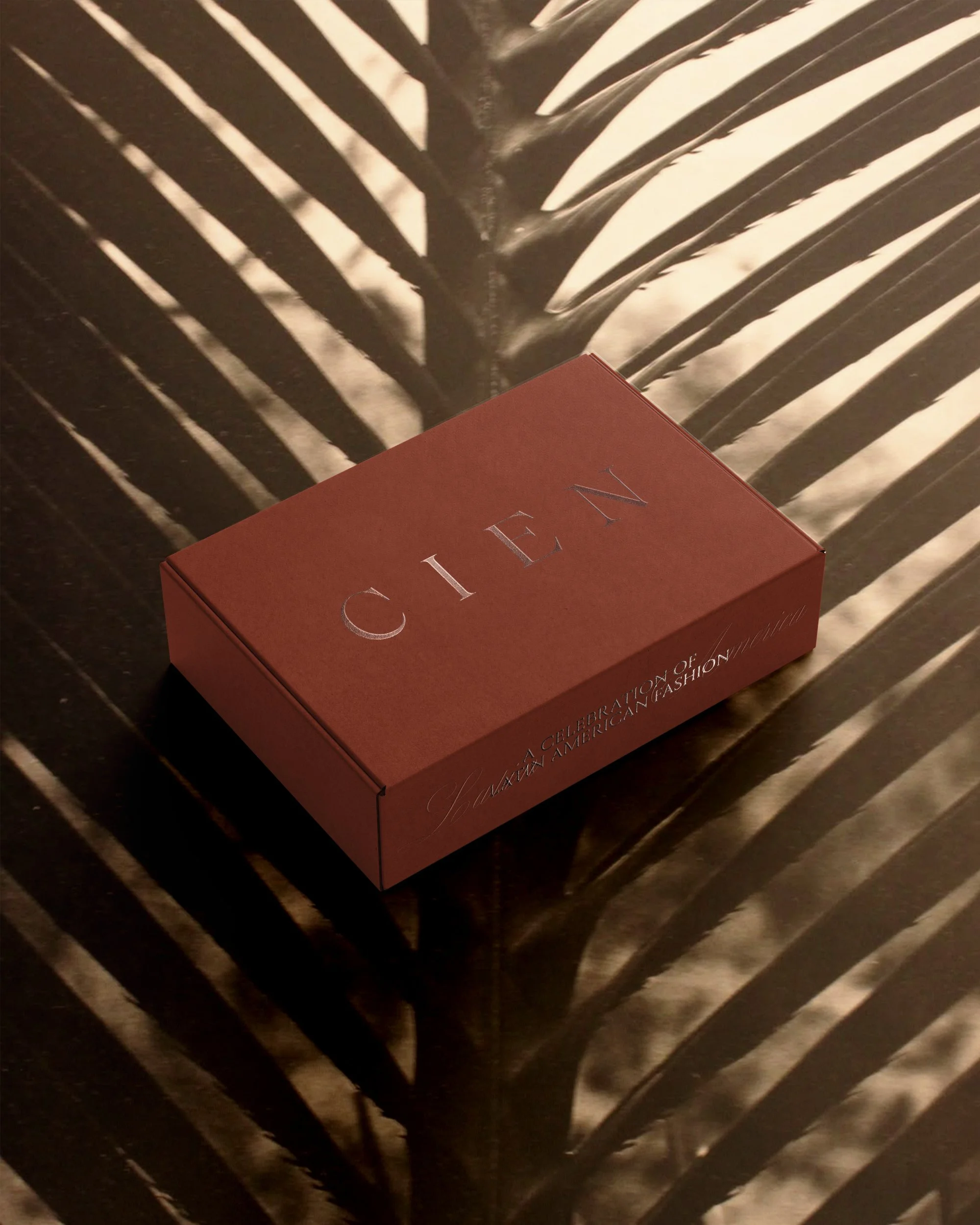 Cien_Box.jpg
