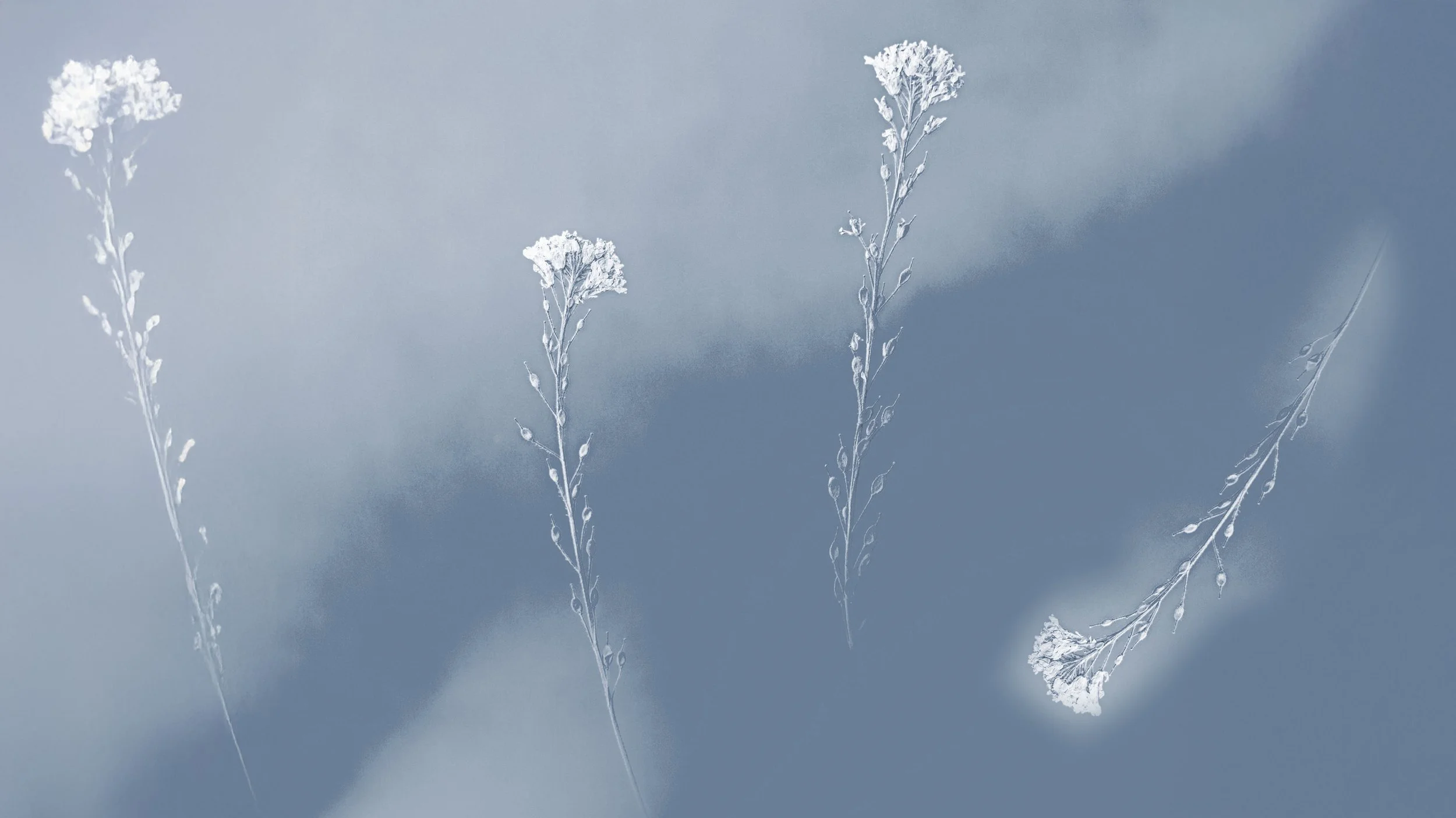 pexels-marek-piwnicki-5997858 2.jpg