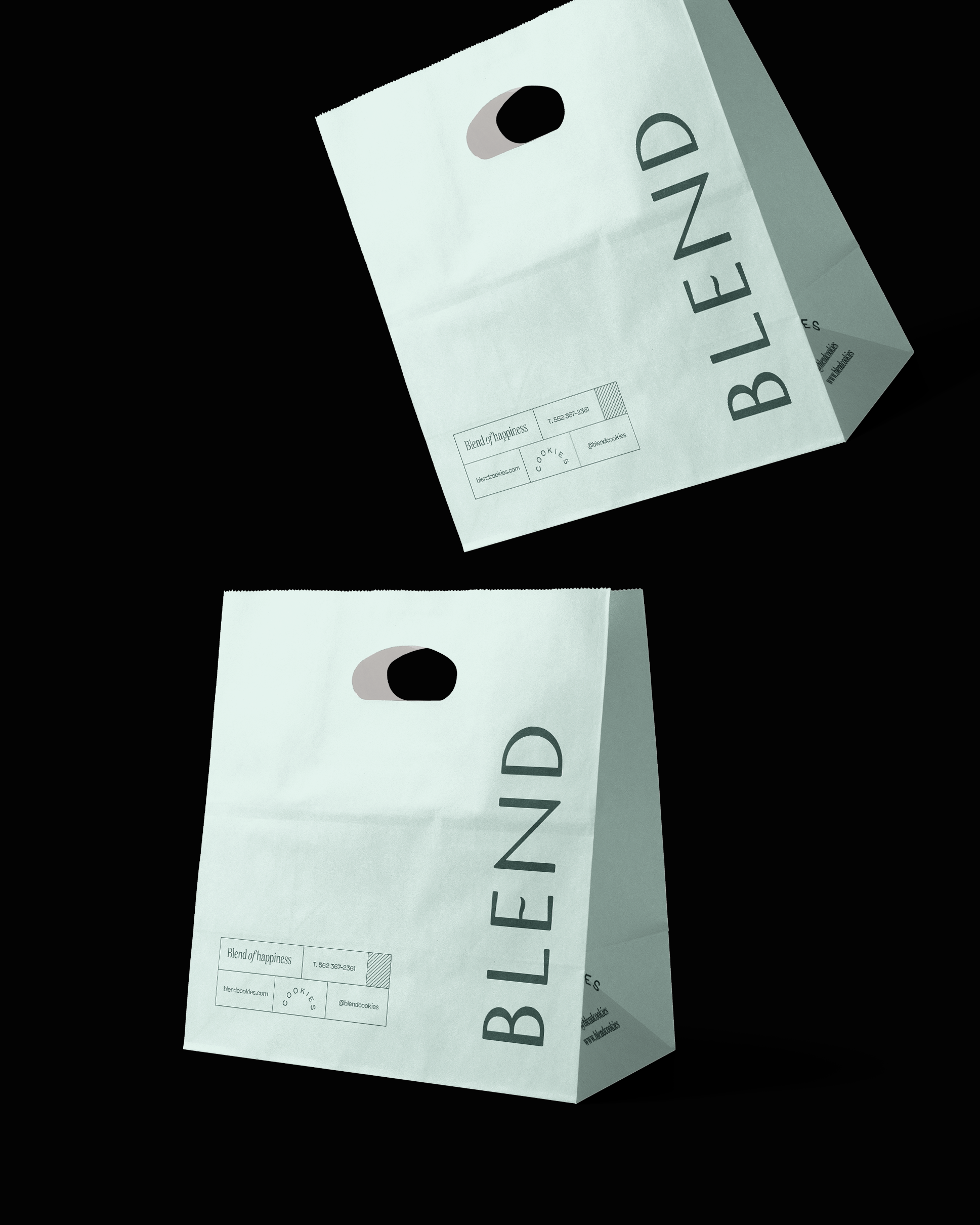 Blend_bolsa-2.png