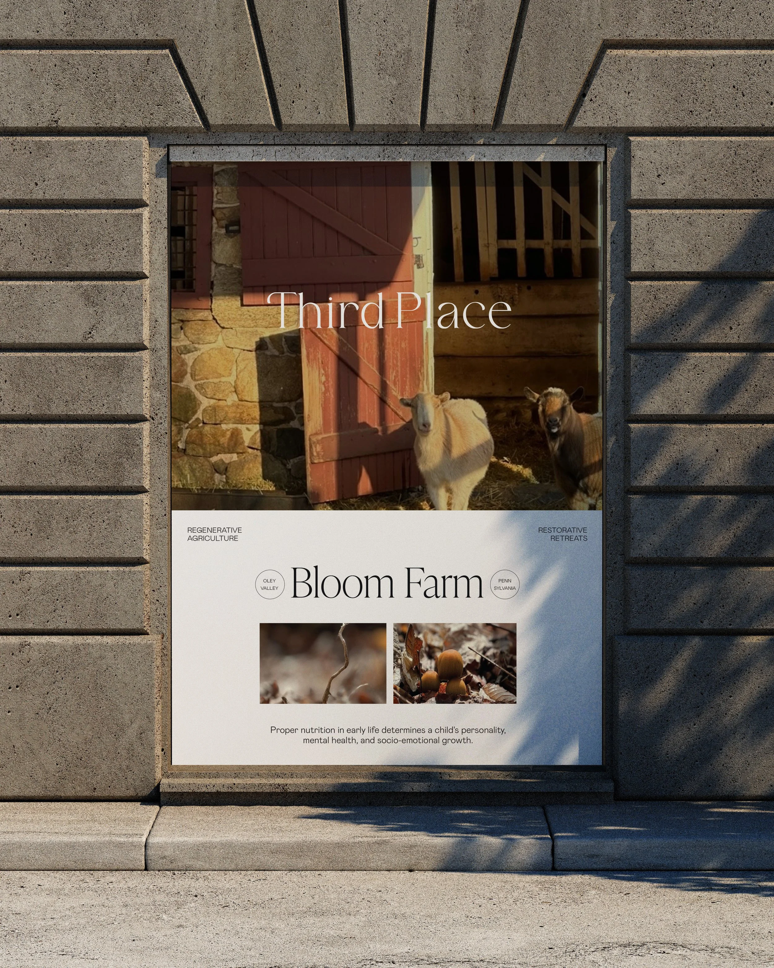 Third-Place_Poster 2.jpg