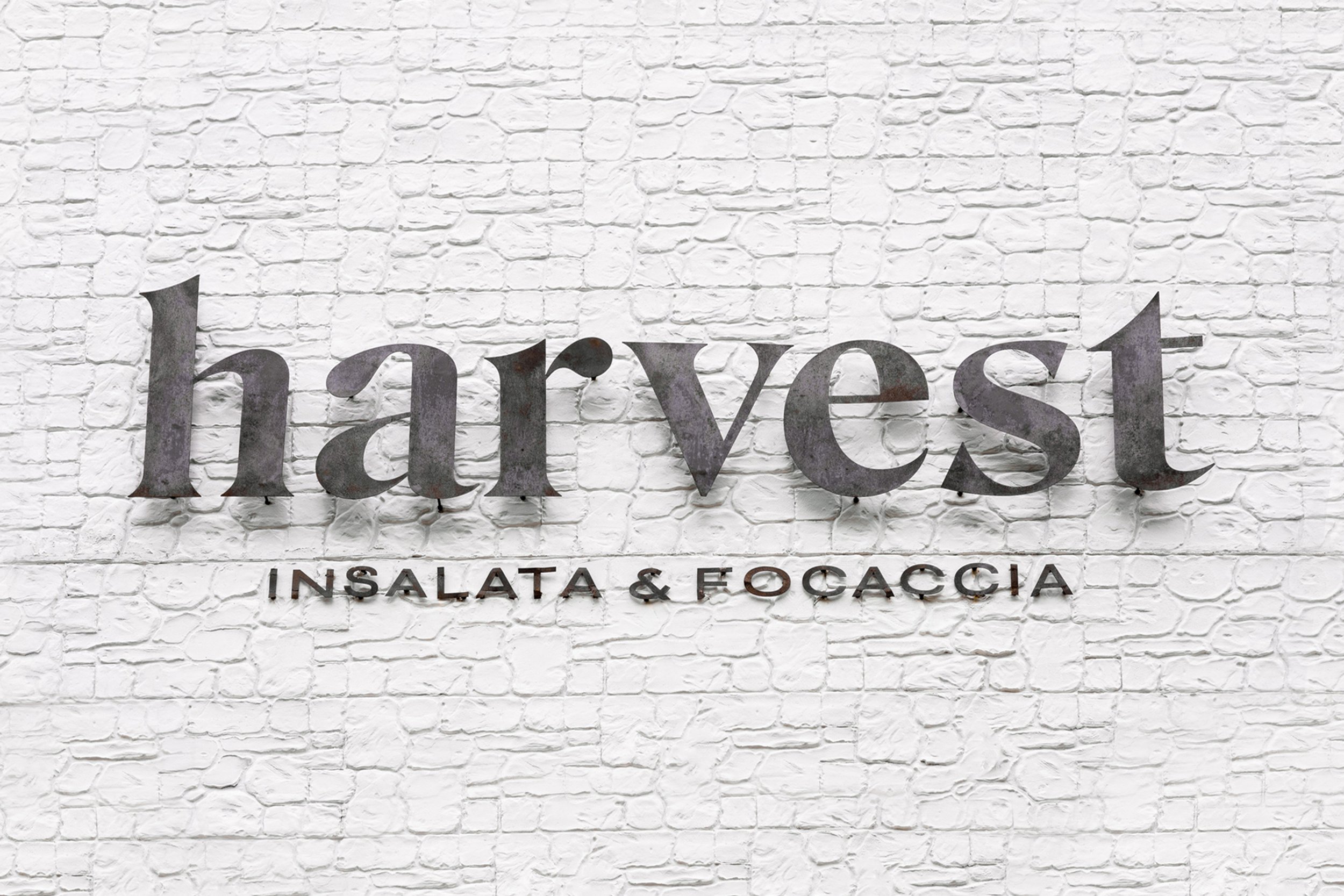 Harvest_Paper-Bag 2.jpg