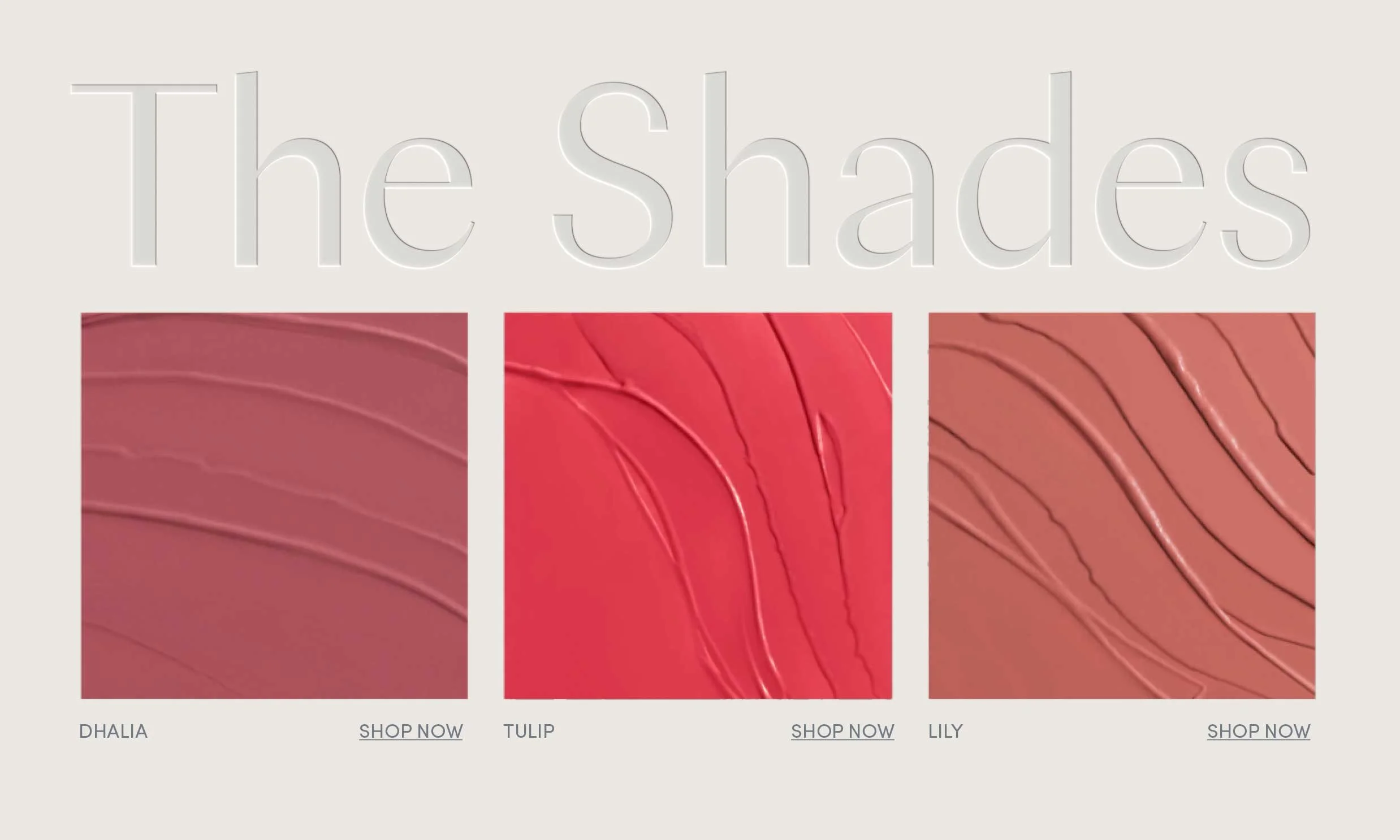 Ravie-Beauty_shades.jpg