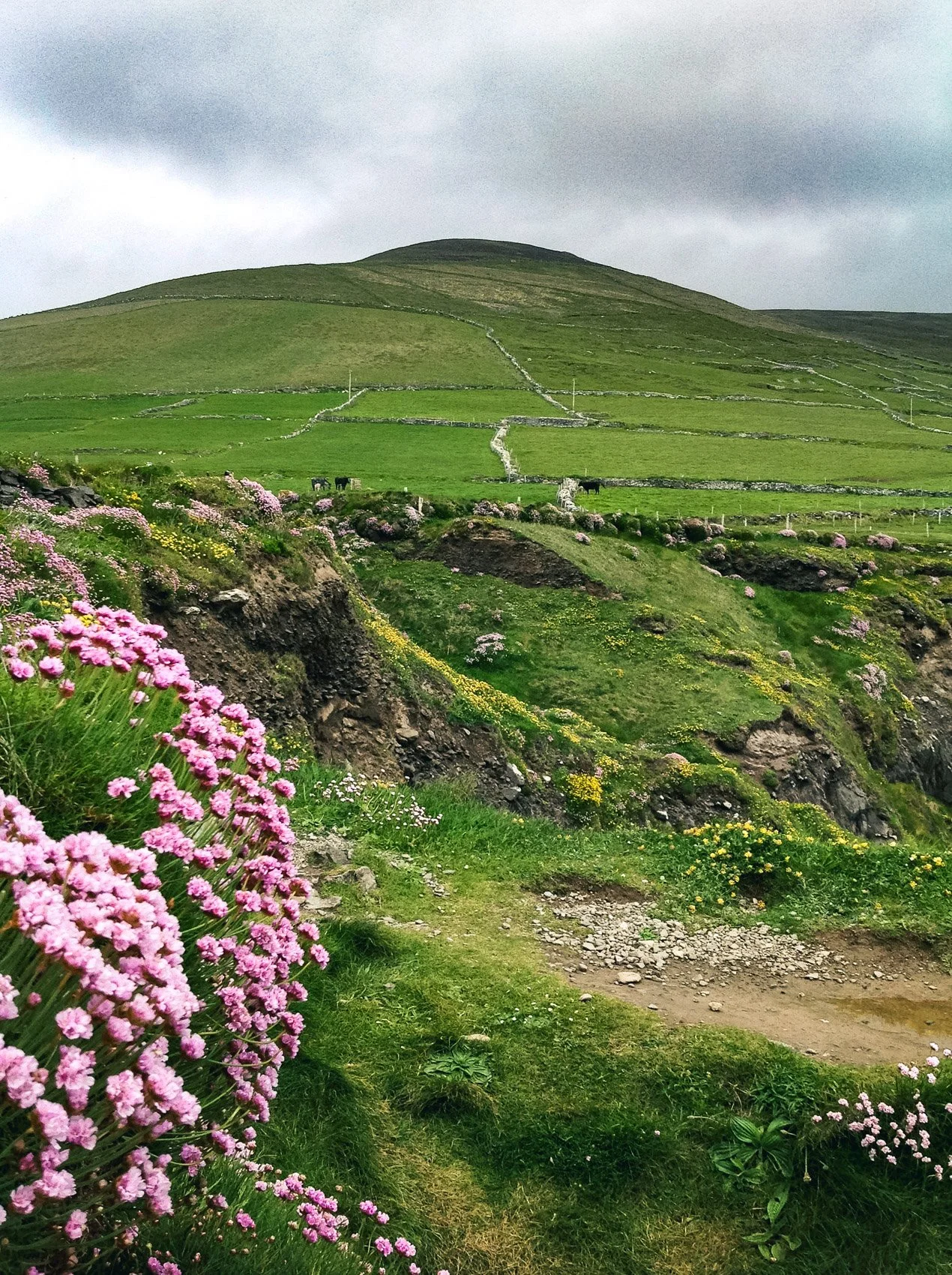 2013_Ireland-85.jpg