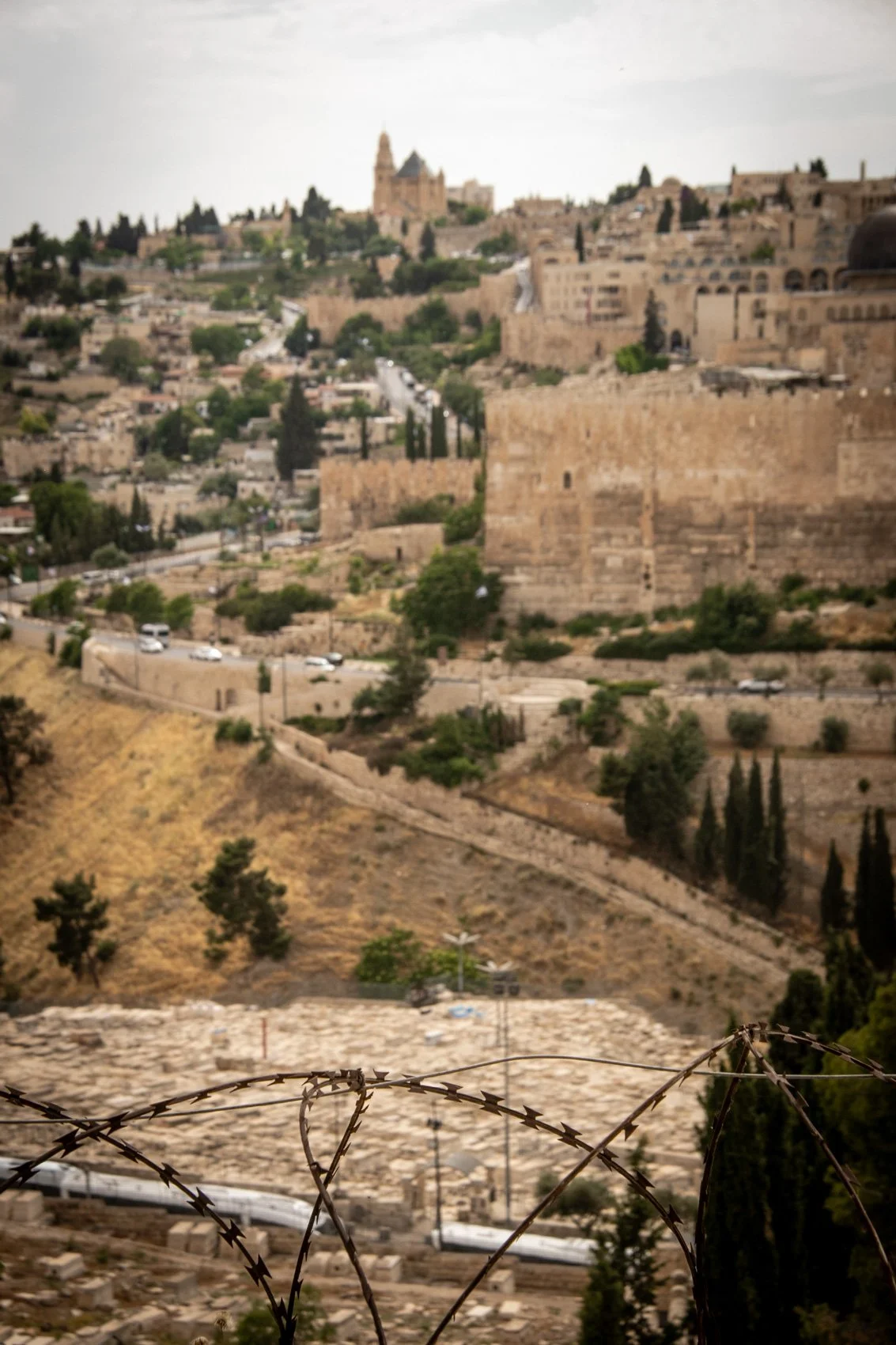 2023_TRAV_ISRAEL & PALESTINE-059.jpg