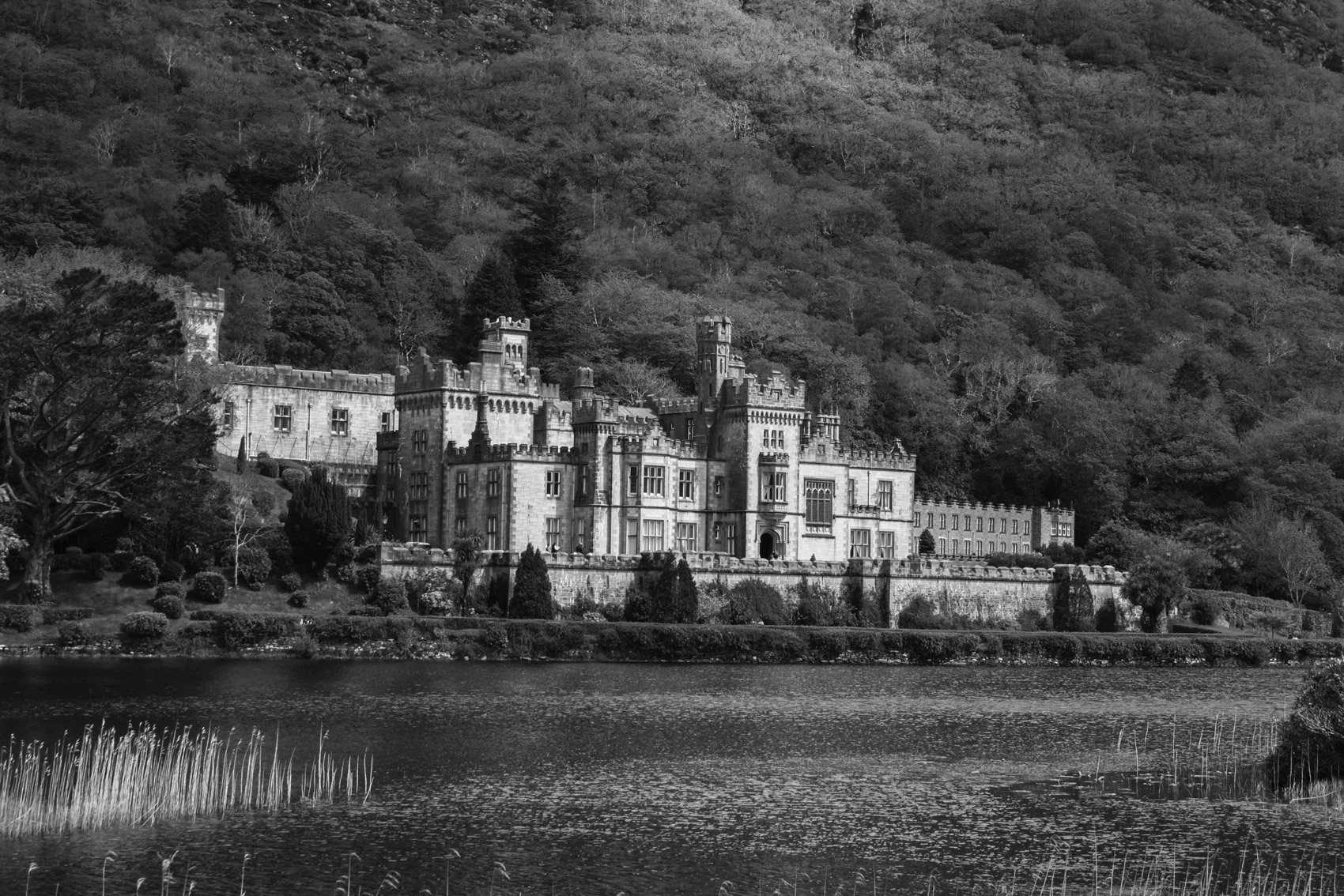 2013_Ireland-44.jpg