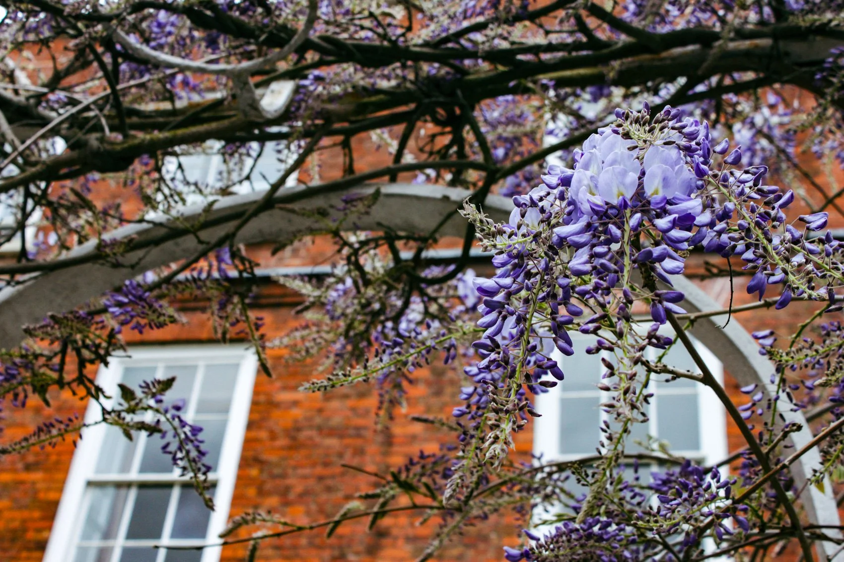 2013_ENGLAND-51.jpg