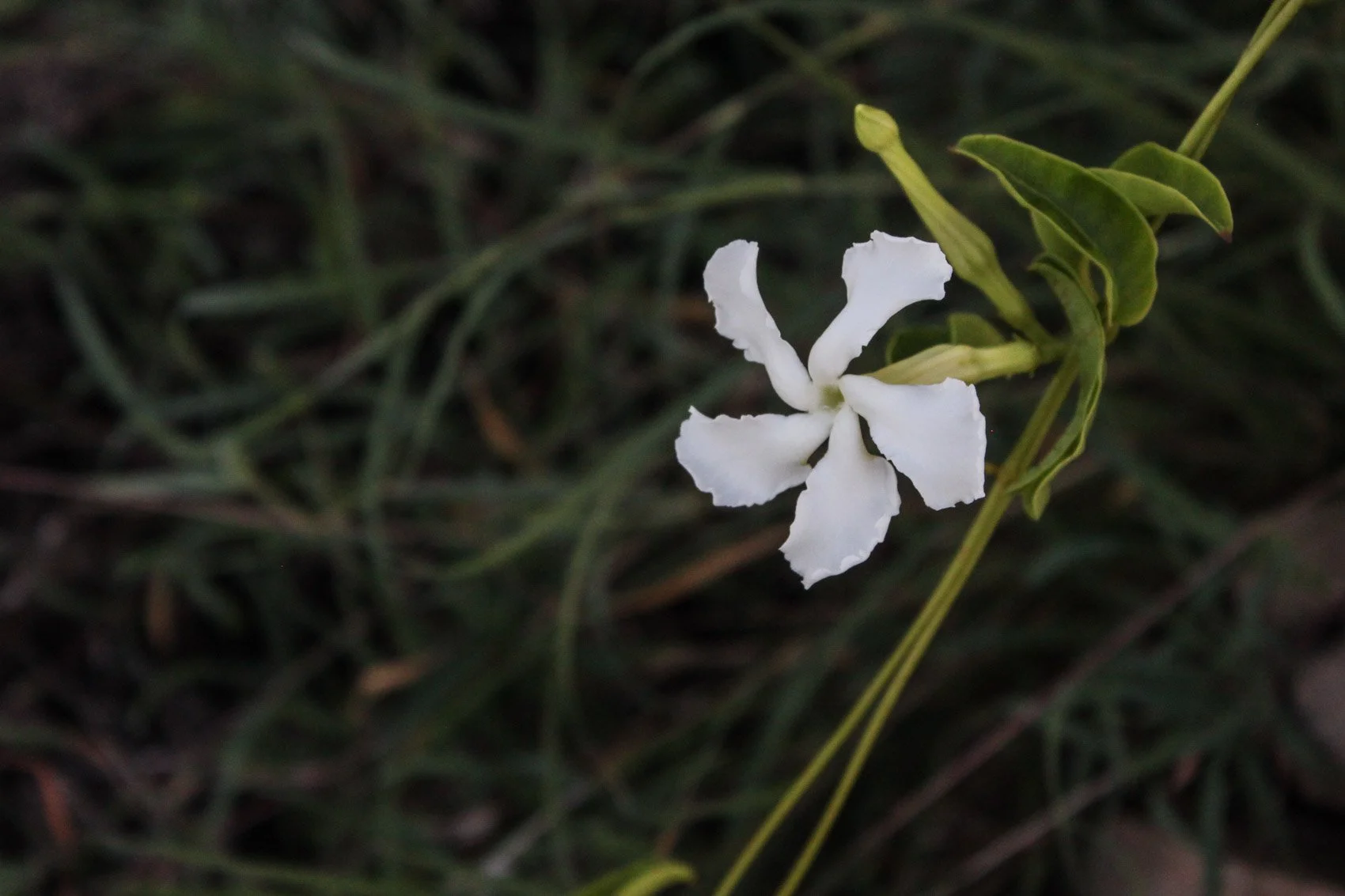 2013_Haiti-26.jpg