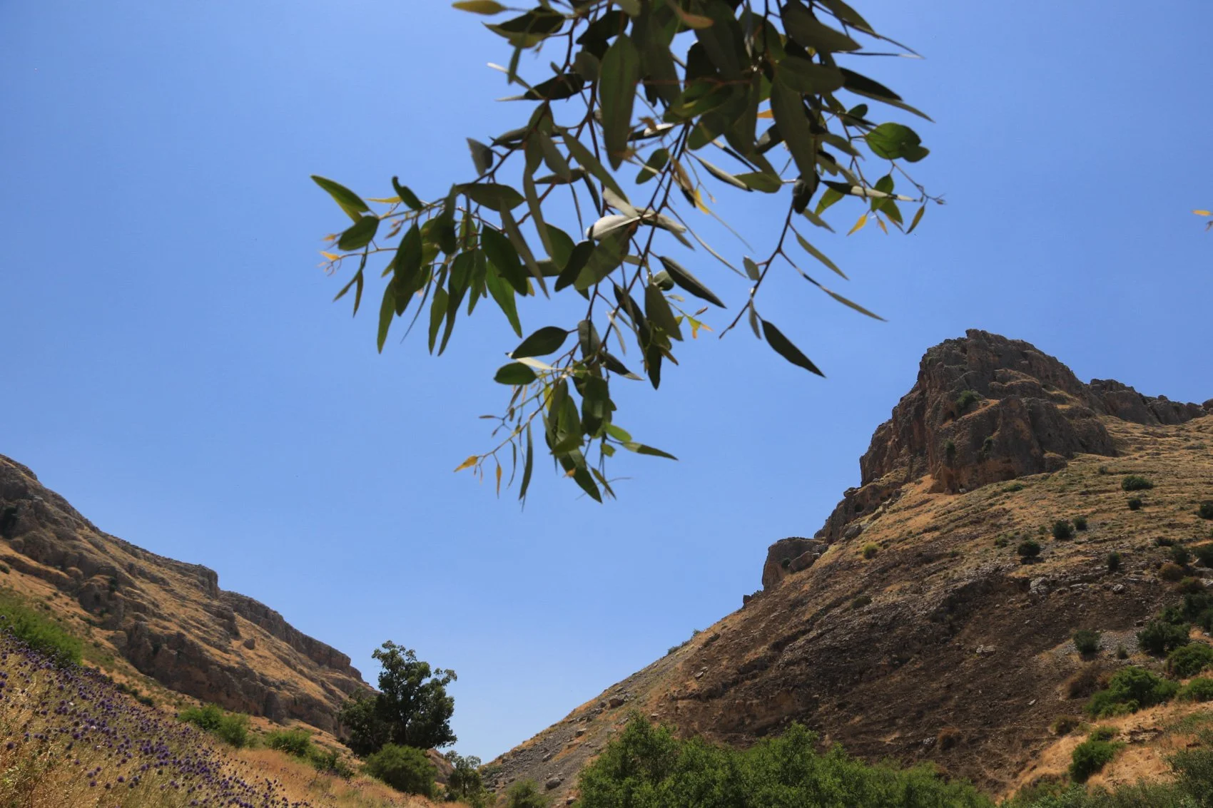 2023_TRAV_ISRAEL & PALESTINE-036.jpg