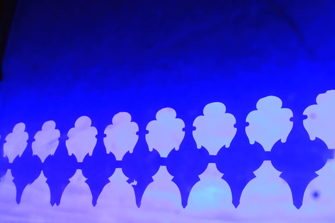 IMG_2244 smaller version.jpg