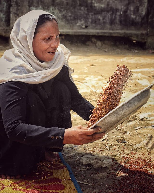 Sifting grain during the heat of the day with very little water available to them and no shade.  Honestly,  I don't know how these women do it
.
.
.
#nayapara #refugeecamplife #refuge #refugeecrisis #rohingya #rohingyacrisis #streetphotography #daily