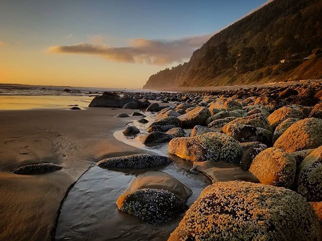 The Oregon coastline is unfiltered, unadulterated beauty and I am not ready to leave it behind 😥. Thank you Manzanita,  you have been a 🎁🙋🏼&zwj;♀️
.
.
.
#oregoncoast #coastline #pacificnorthwest #ocean #beach #westcoastisthebestcoast #upperleftus