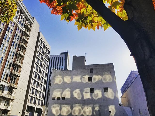 Incredible light patterns and fall colors.  Still not sure what caused the light to reflect in such a way off this building. Amazing
.
.
#light #reflection #fall #portlandoregon #mobilephotography1