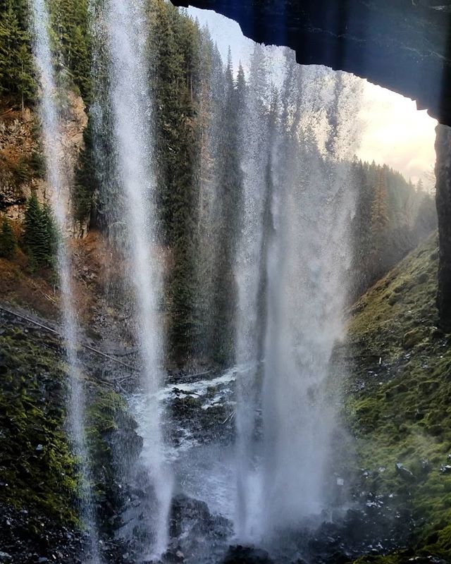 So far I am loving Oregon! 😍🍁🌳🌲🍂🍃
.
.
.
#oregon #oregonexplored #waterfalls #optoutside🌲 #explore #pacificnorthwest #westcoastisthebestcoast #peoplewhohike #tamanawasfalls