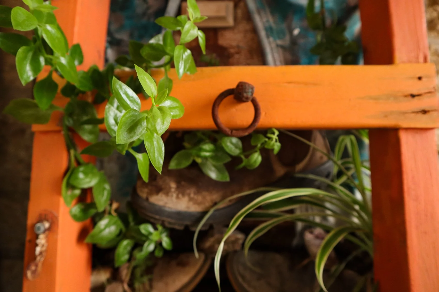 2023_TRAV_ISRAEL & PALESTINE-214.jpg