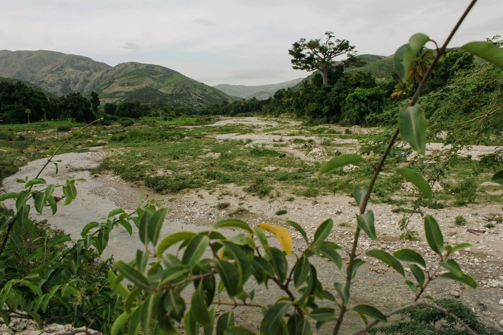 2013_Haiti-80.jpg