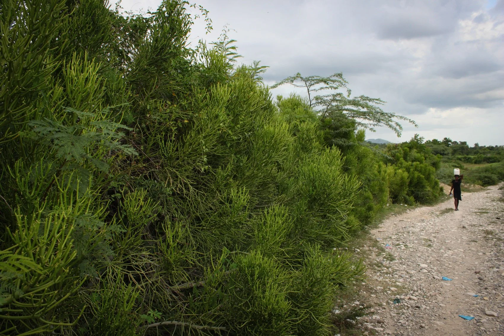 2013_Haiti-75.jpg