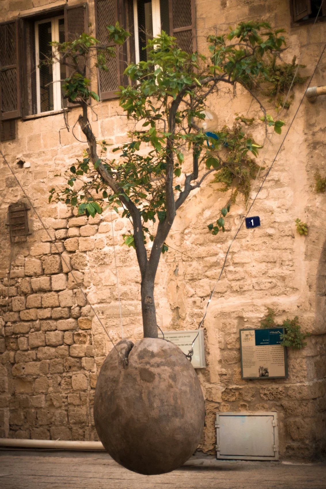 2023_TRAV_ISRAEL & PALESTINE-290.jpg