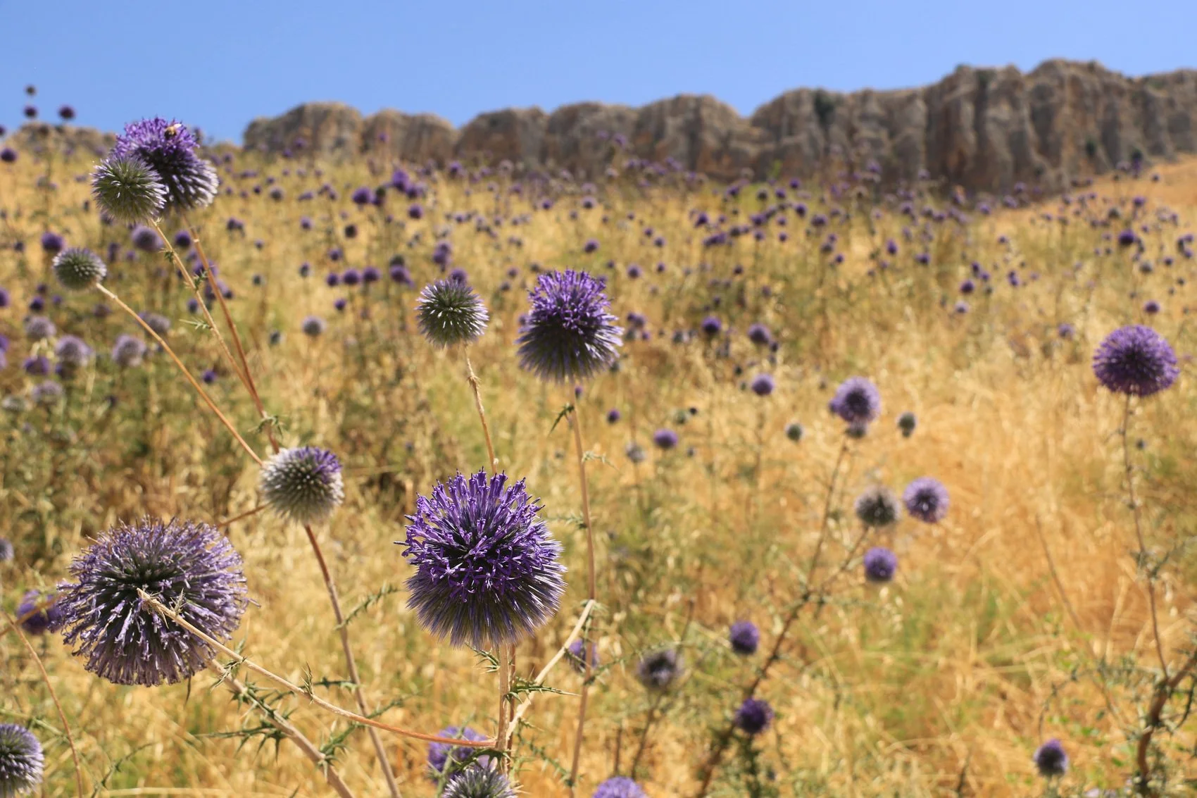 2023_TRAV_ISRAEL & PALESTINE-041.jpg