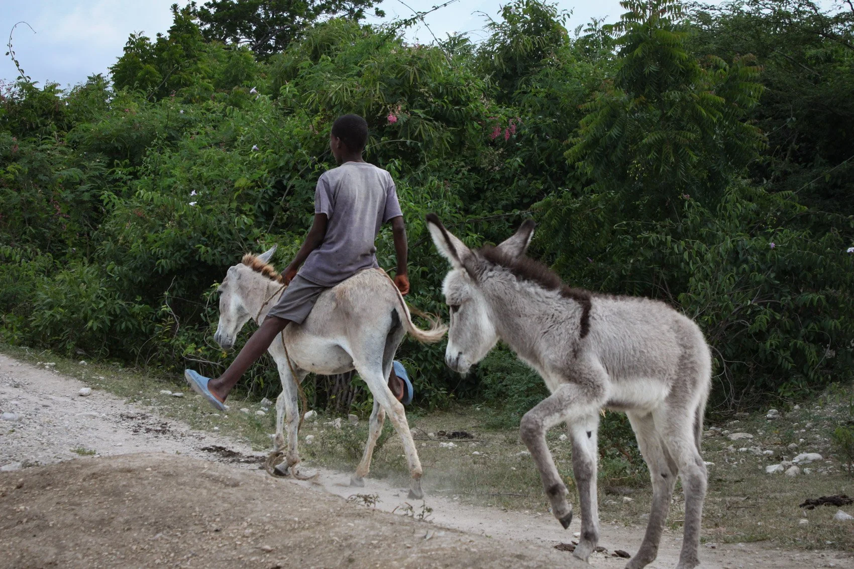 2013_Haiti-82.jpg