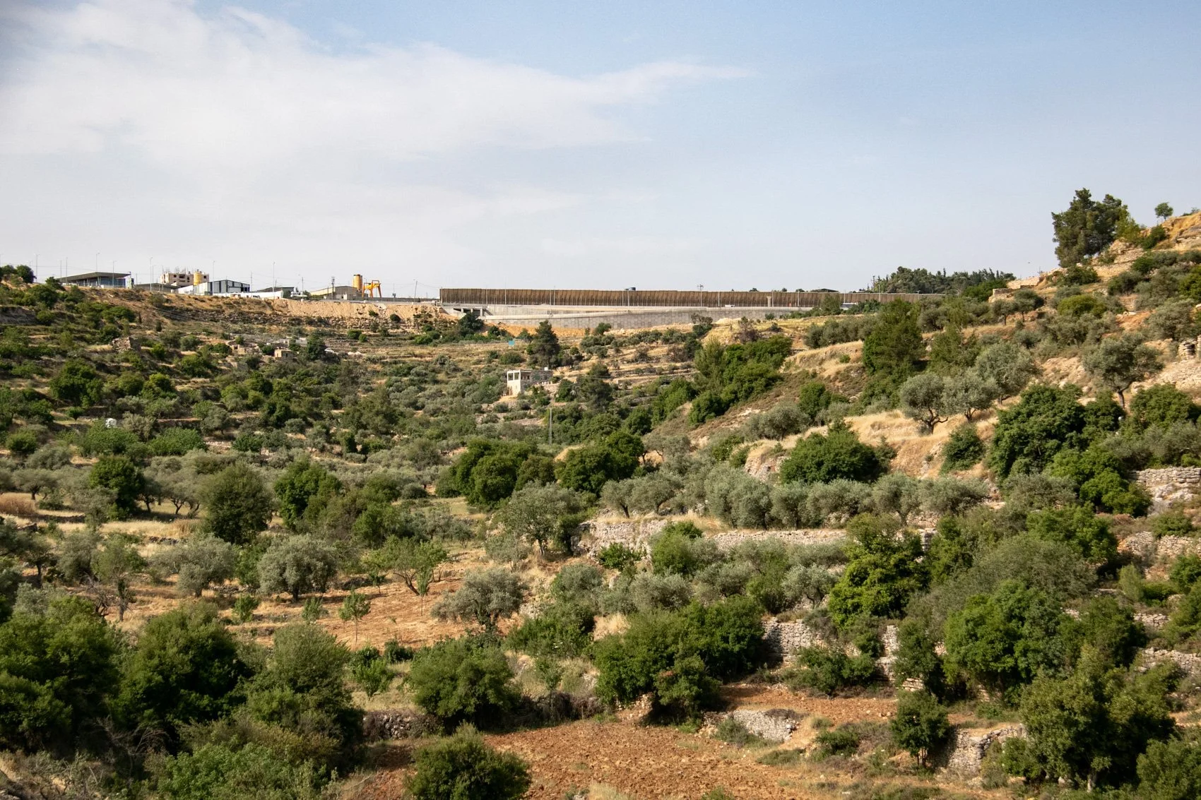 2023_TRAV_ISRAEL & PALESTINE-096.jpg