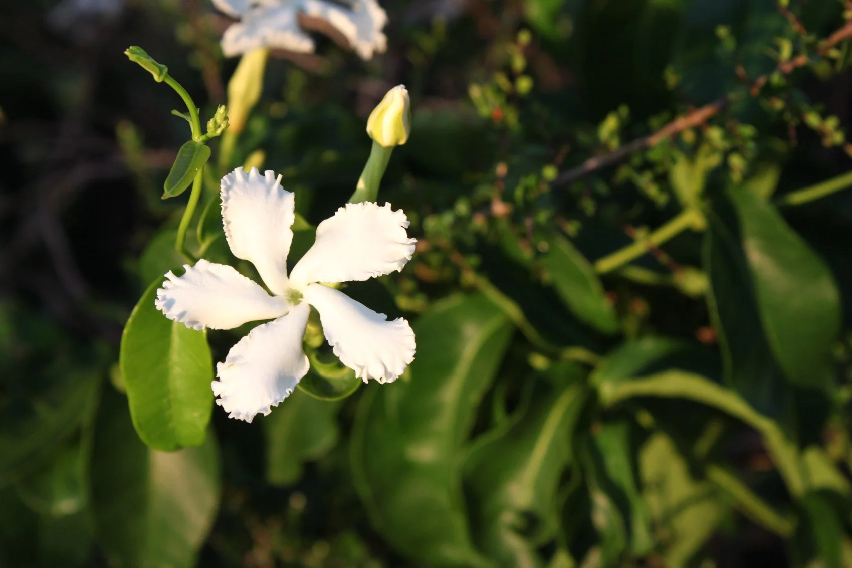 2013_Haiti-31.jpg