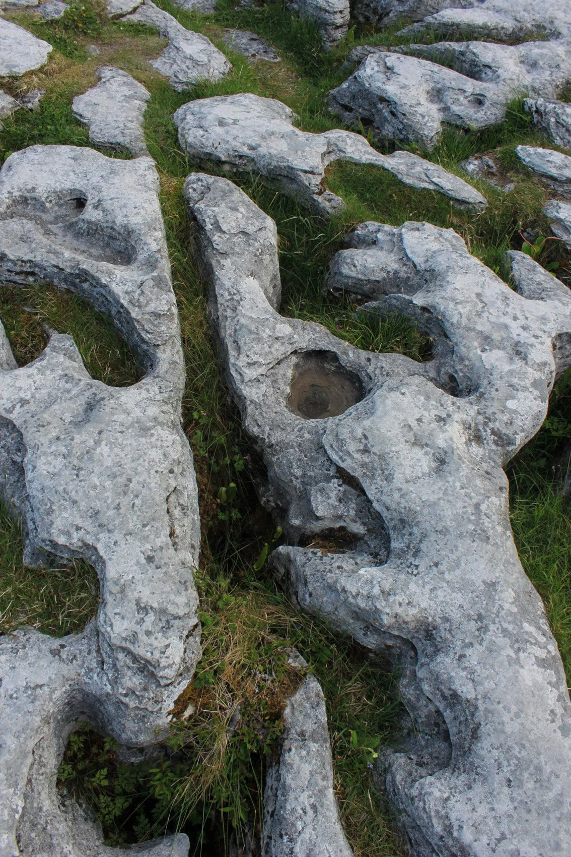 2013_Ireland-58.jpg