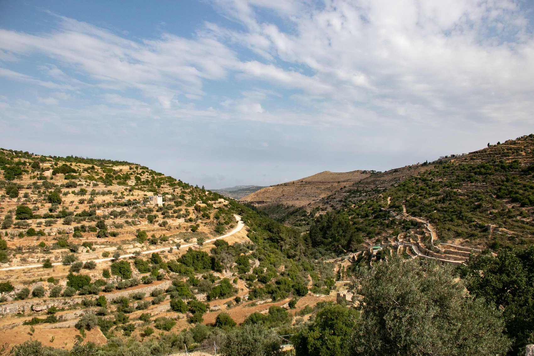 2023_TRAV_ISRAEL & PALESTINE-094.jpg