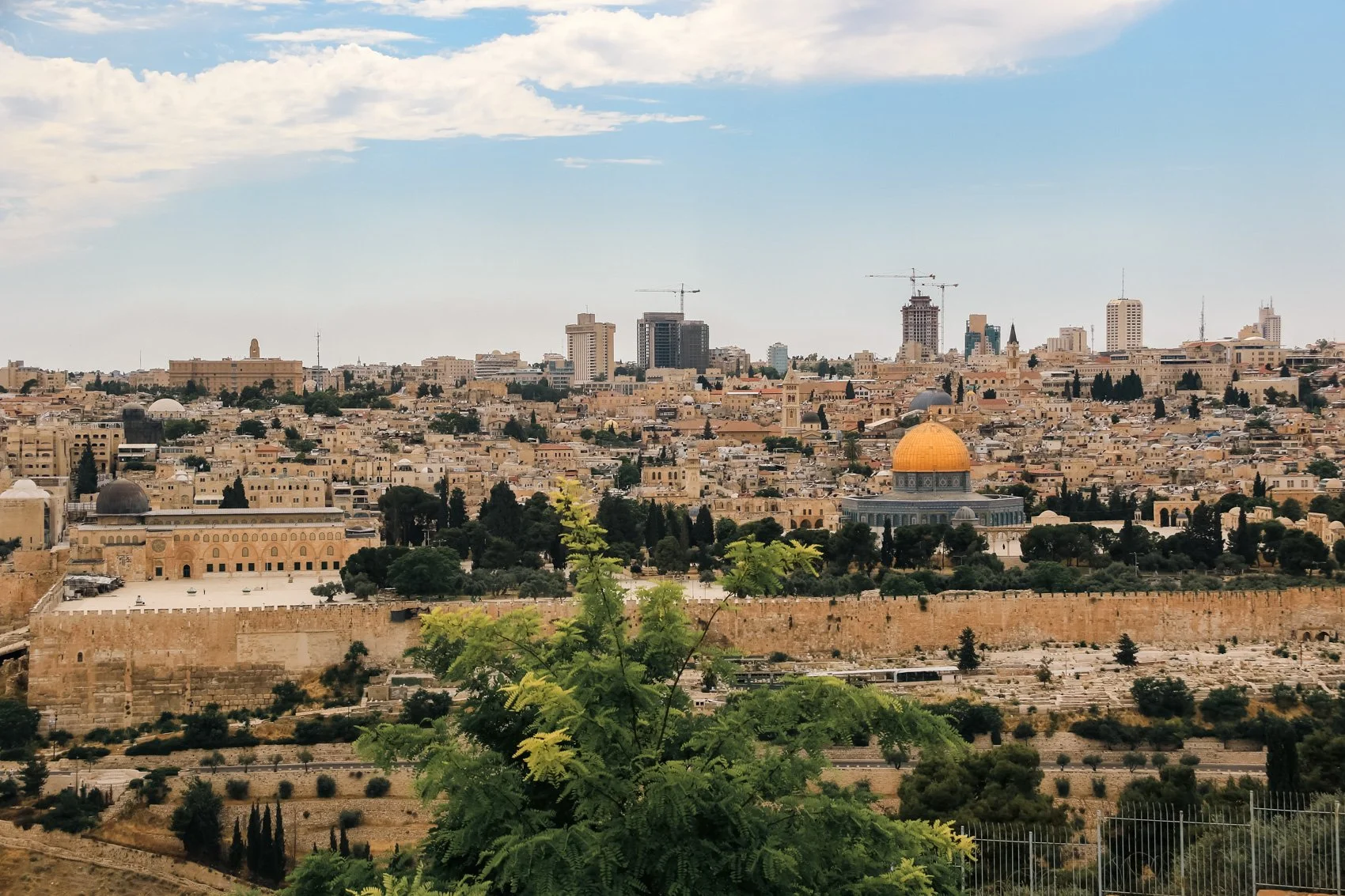 2023_TRAV_ISRAEL & PALESTINE-315.jpg