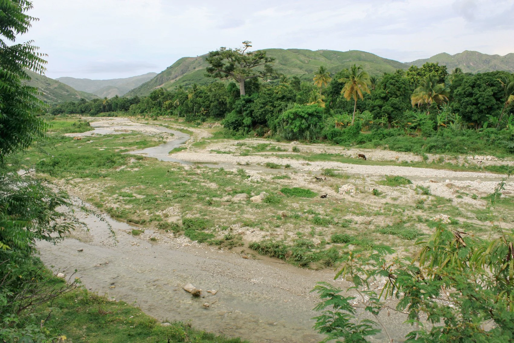 2013_Haiti-78.jpg